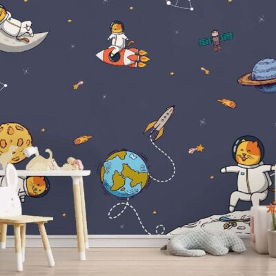 Cats in Space